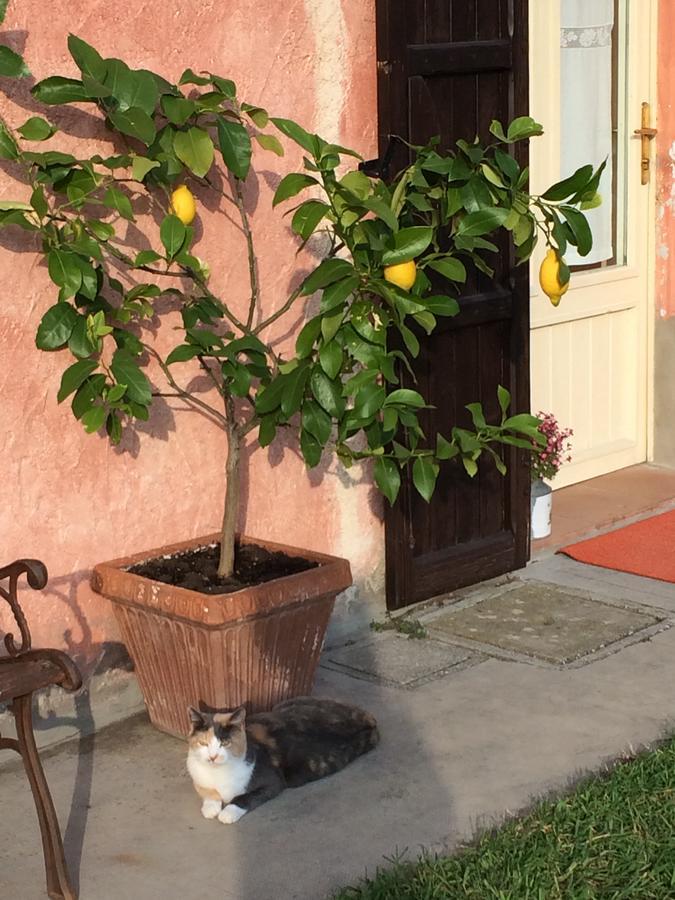 Agriturismo Il Pettirosso Hostal Forlì Exterior foto