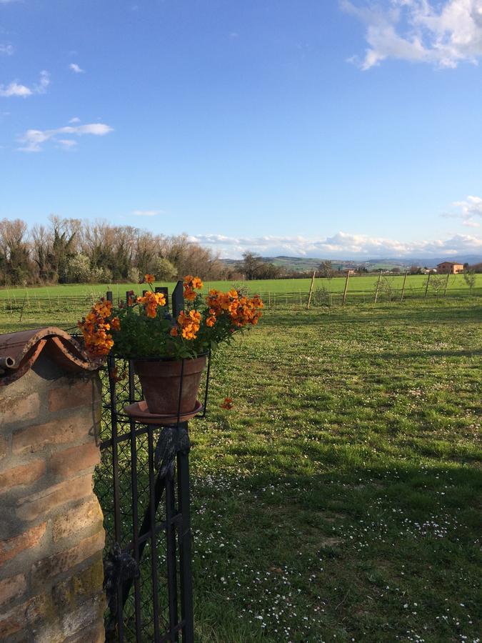 Agriturismo Il Pettirosso Hostal Forlì Exterior foto